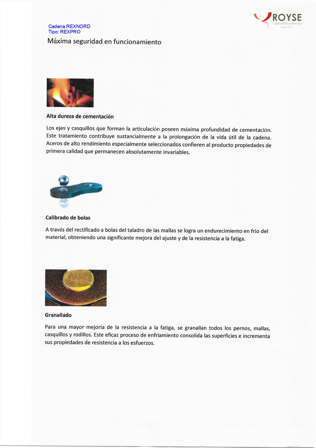 Catálogos Cadenas de rodillo - Royse